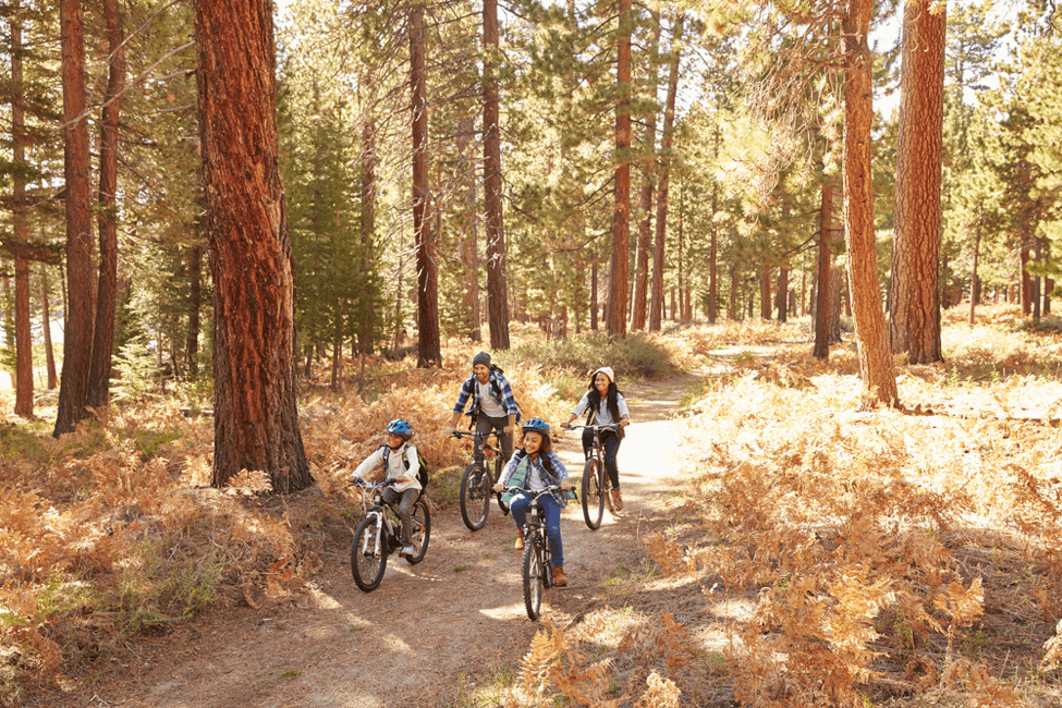 Family Bike Riding