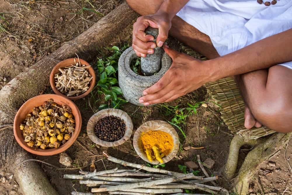 A Primer on the Healing Science of Ayurveda 5