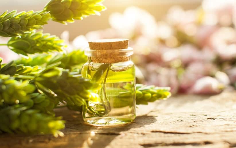 What is Tea Tree Oil