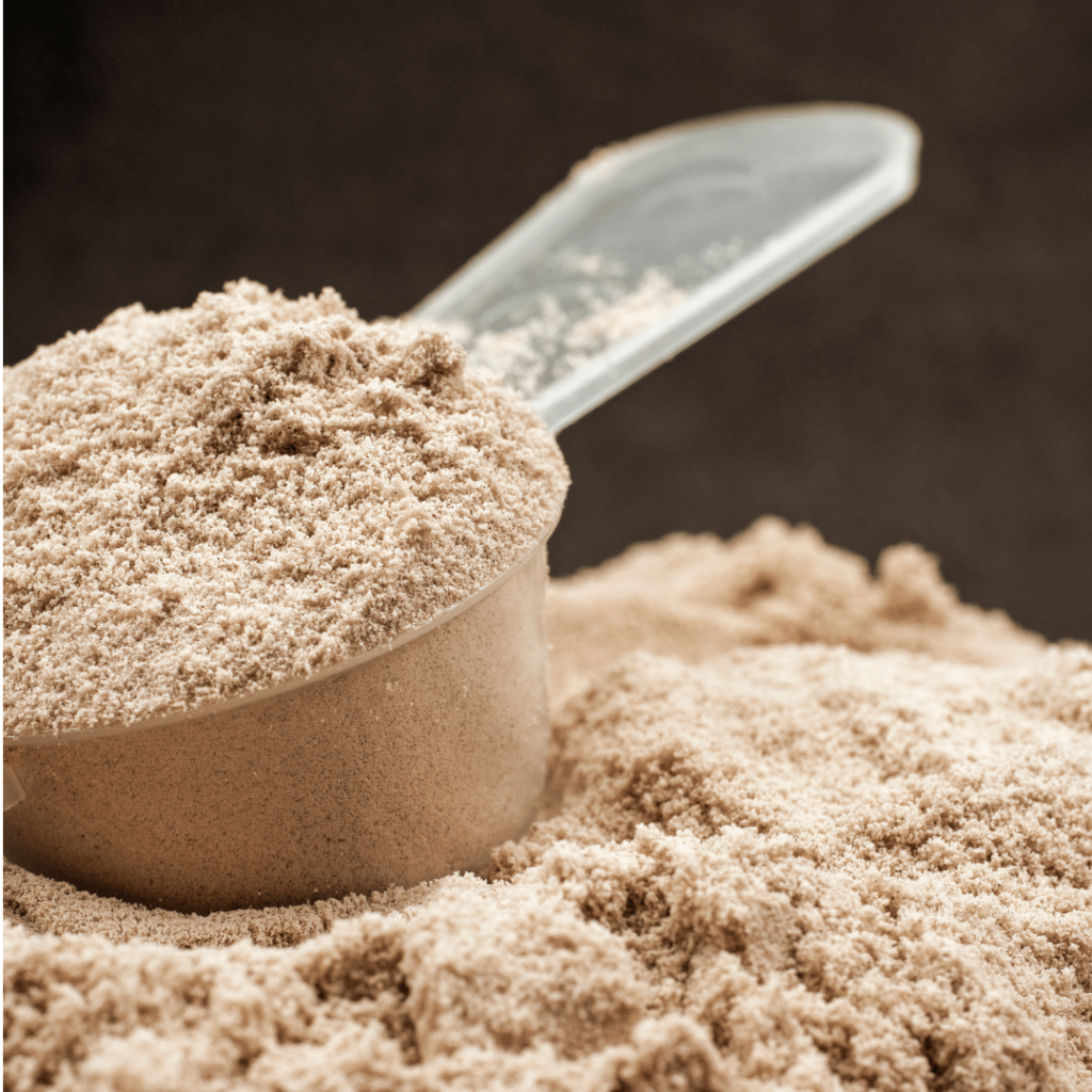 Protein Bread: What Is It + The Top 12 Brands 14 Different Protein Sources