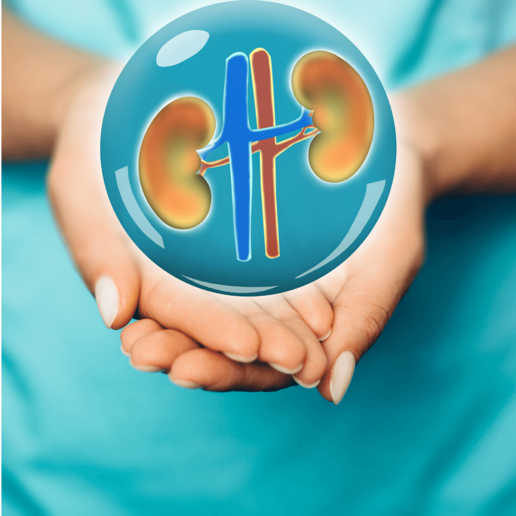 The 16 Best Essential Oils for Kidney Health 20 Frequently-Asked-Questions-About-Kidney-Health