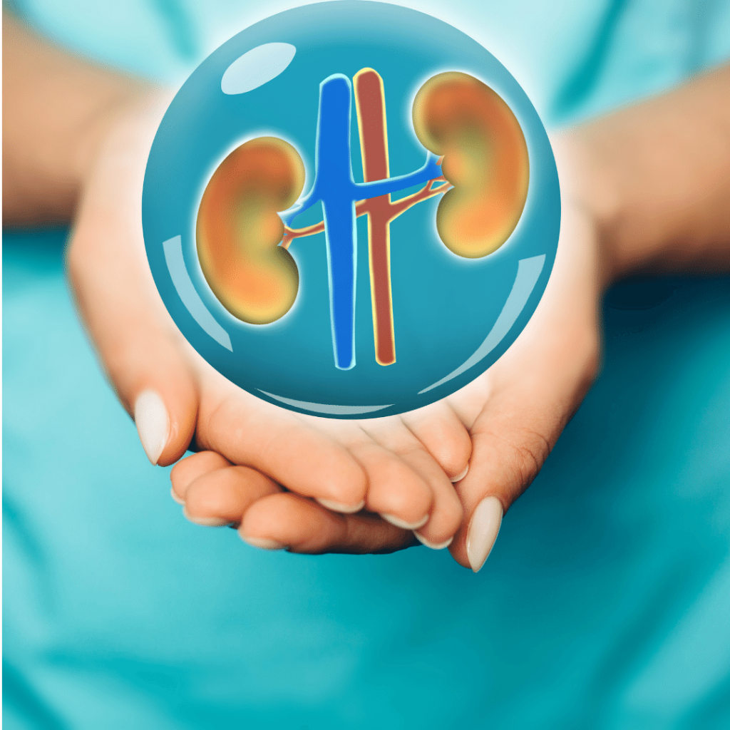 Frequently-Asked-Questions-About-Kidney-Health