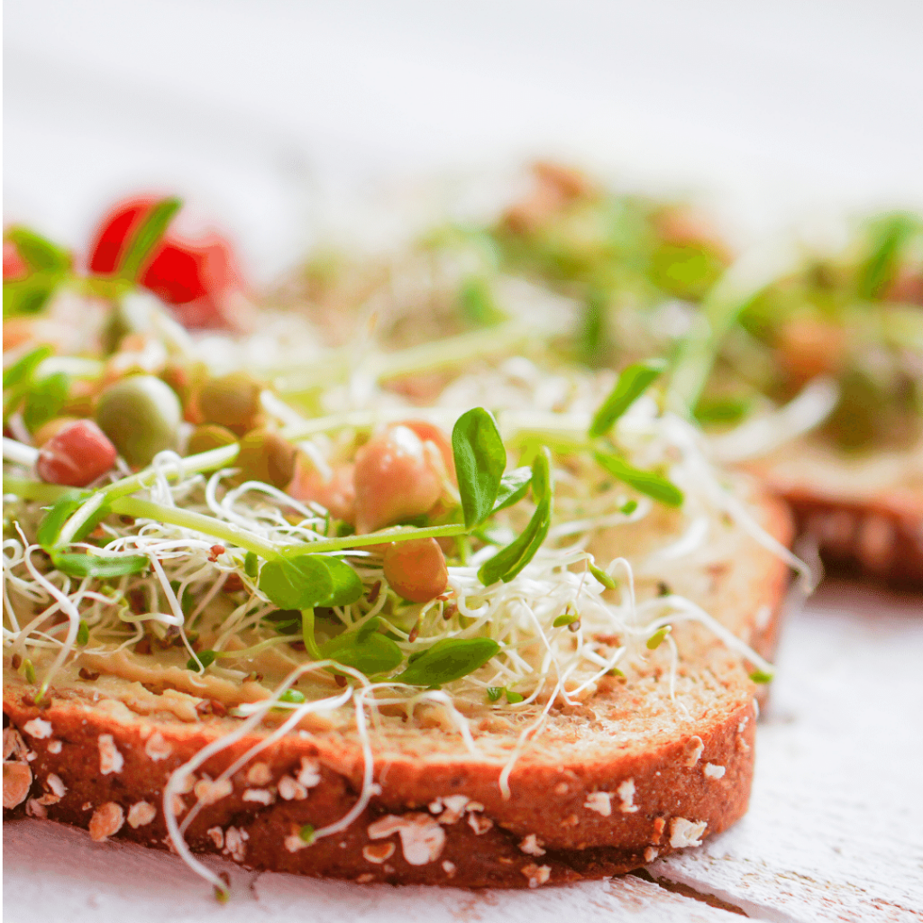 Protein Bread: What Is It + The Top 12 Brands 18 The Top 11 Protein Bread Brands