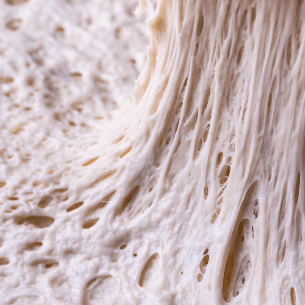 Gluten acts as a binder, allows bread to rise, and provides elasticity to the dough.