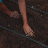 How Adopting Sustainable Practices in Daily Life Can Contribute to Overall Wellness? 8