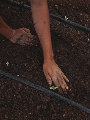 How Adopting Sustainable Practices in Daily Life Can Contribute to Overall Wellness? 8