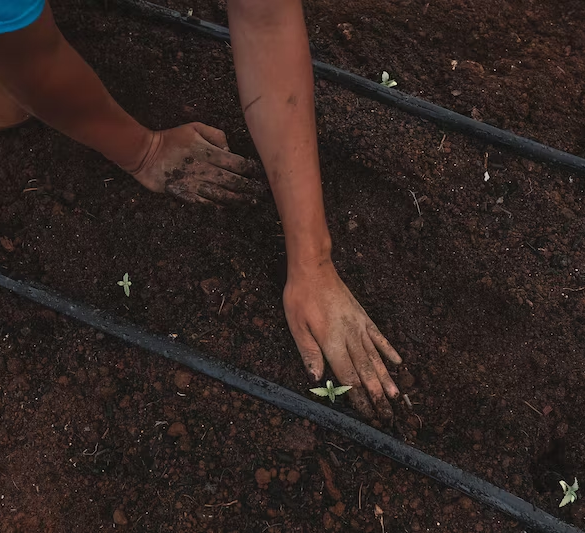 How Adopting Sustainable Practices in Daily Life Can Contribute to Overall Wellness? 6