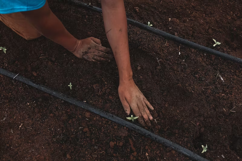How Adopting Sustainable Practices in Daily Life Can Contribute to Overall Wellness? 6